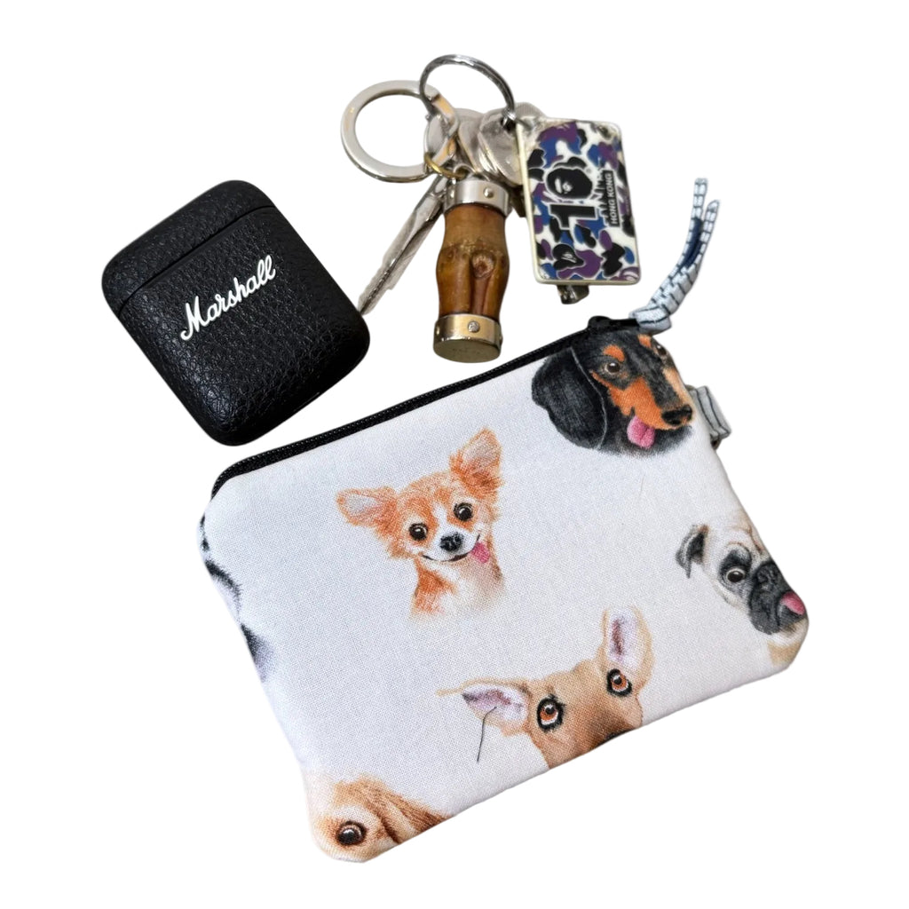Coins Bag