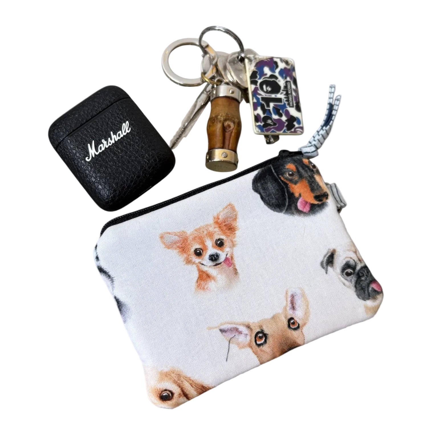 Coins Bag