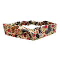 Hair Band